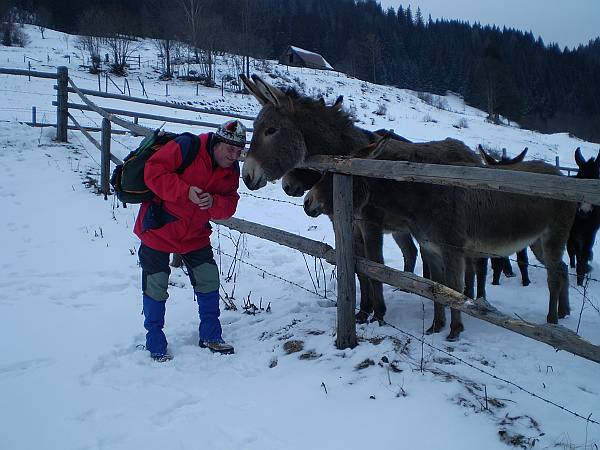 08 Begruessung durch die Esel